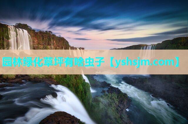 園林綠化草坪有啥蟲子