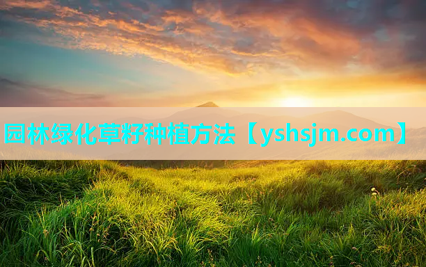 園林綠化草籽種植方法