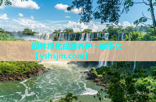 園林綠化成活養(yǎng)護(hù)一般多久