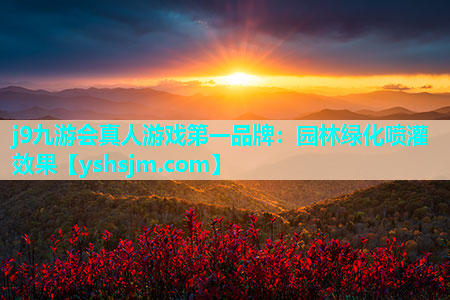 j9九游會真人游戲第一品牌：園林綠化噴灌效果