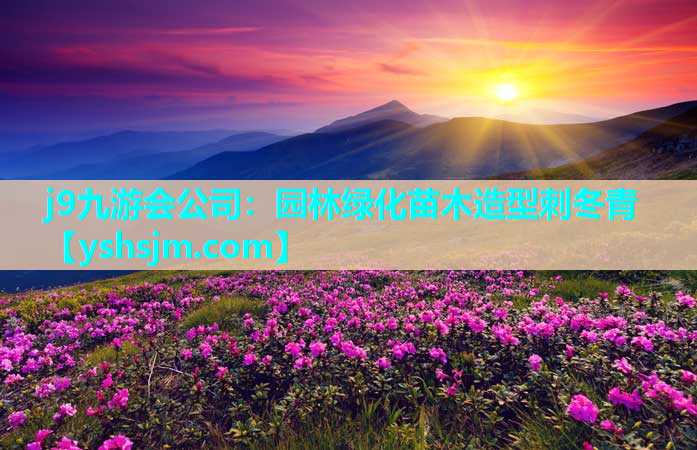 j9九游會公司：園林綠化苗木造型刺冬青