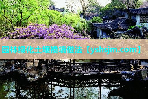 園林綠化土壤換填做法