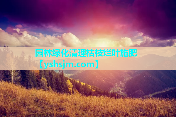 園林綠化清理枯枝爛葉施肥