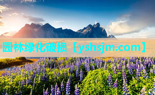 園林綠化破損