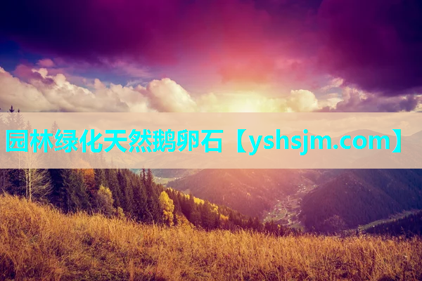 園林綠化天然鵝卵石