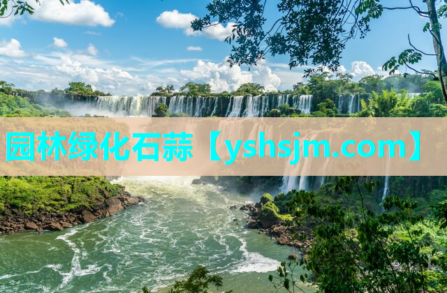 園林綠化石蒜