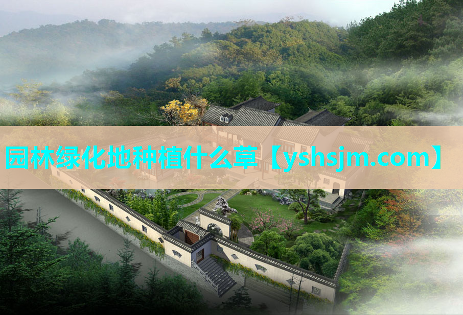 園林綠化地種植什么草