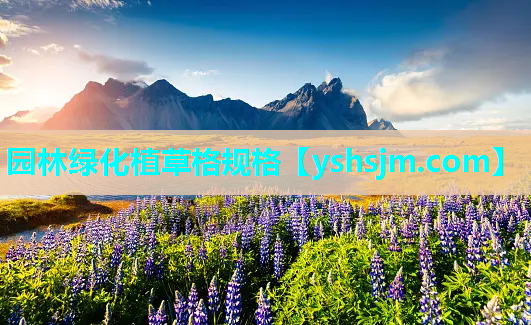 園林綠化植草格規格
