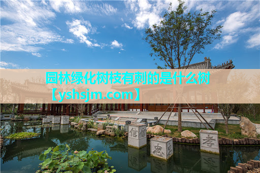 園林綠化樹枝有刺的是什么樹