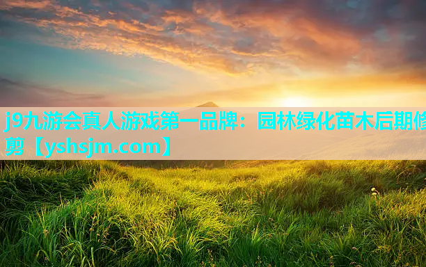 j9九游會真人游戲第一品牌：園林綠化苗木后期修剪