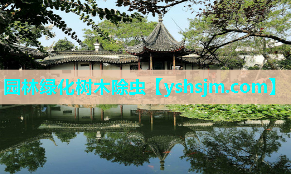 園林綠化樹木除蟲