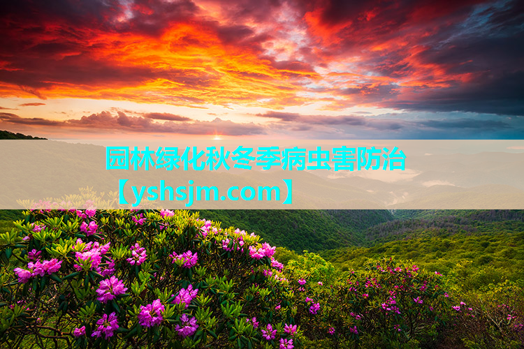 園林綠化秋冬季病蟲害防治