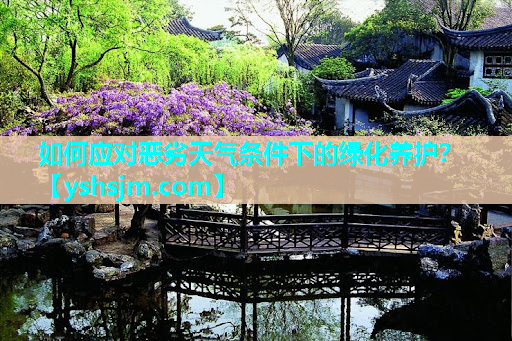 如何應(yīng)對(duì)惡劣天氣條件下的綠化養(yǎng)護(hù)？