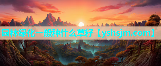 園林綠化一般種什么草籽