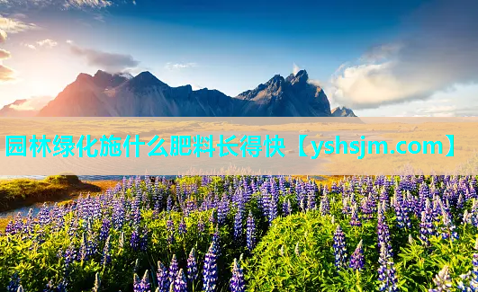 園林綠化施什么肥料長(zhǎng)得快
