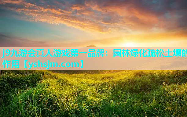 j9九游會(huì)真人游戲第一品牌：園林綠化疏松土壤的作用