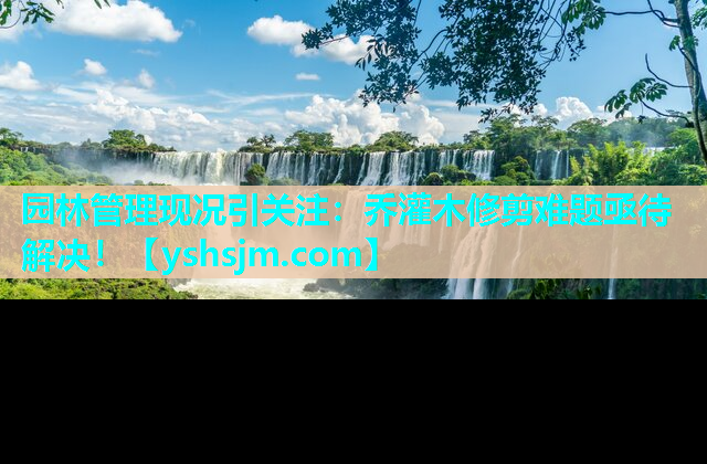 園林管理現況引關注：喬灌木修剪難題亟待解決！