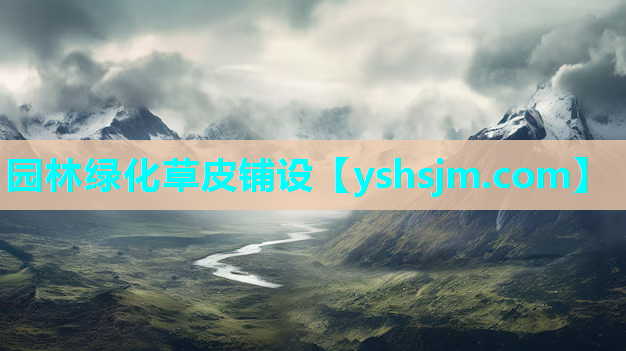 園林綠化草皮鋪設