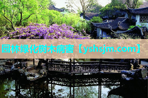 園林綠化樹木病害