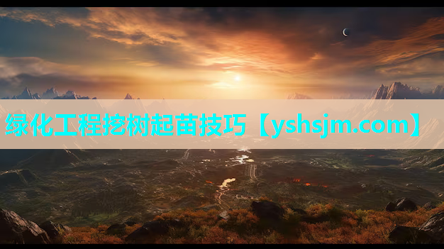 綠化工程挖樹起苗技巧