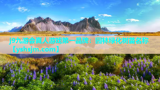 j9九游會真人游戲第一品牌：園林綠化樹苗名稱