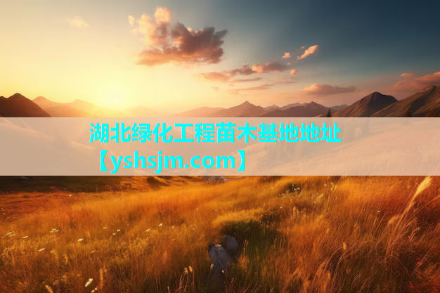 湖北綠化工程苗木基地地址