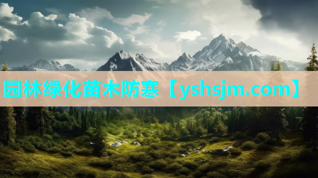 園林綠化苗木防寒