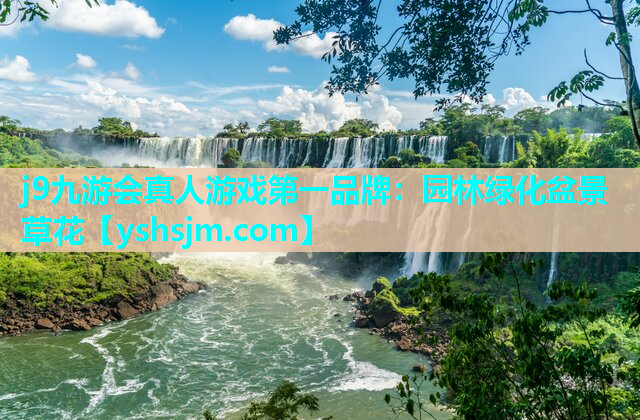 j9九游會(huì)真人游戲第一品牌：園林綠化盆景草花