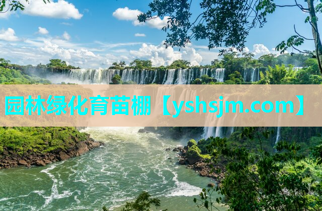 園林綠化育苗棚